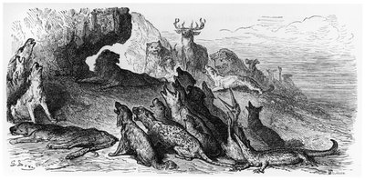 The Funeral of the Lioness, illustration from 